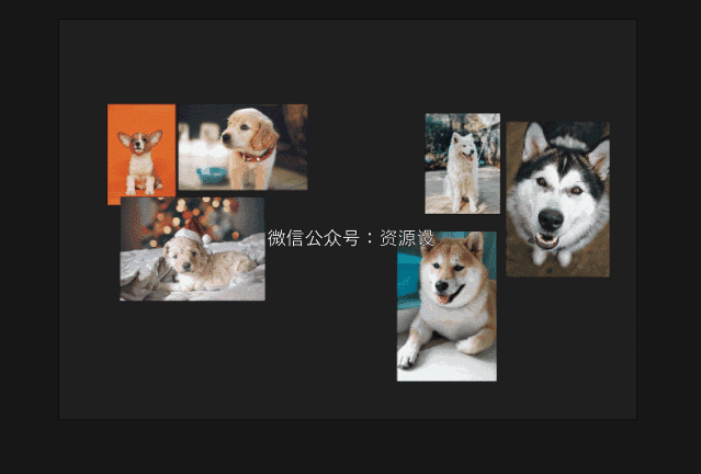 DM_20240729094842_009.gif
