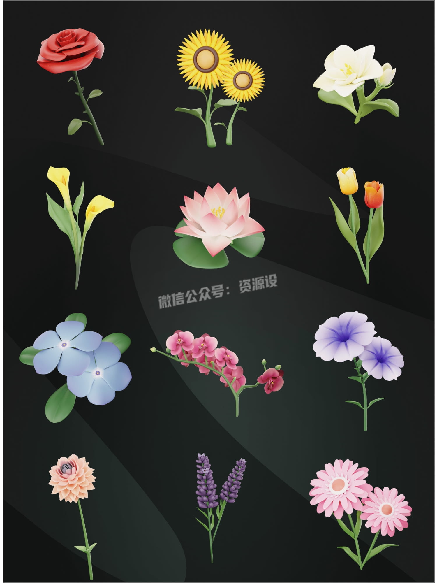 详情_007.jpg