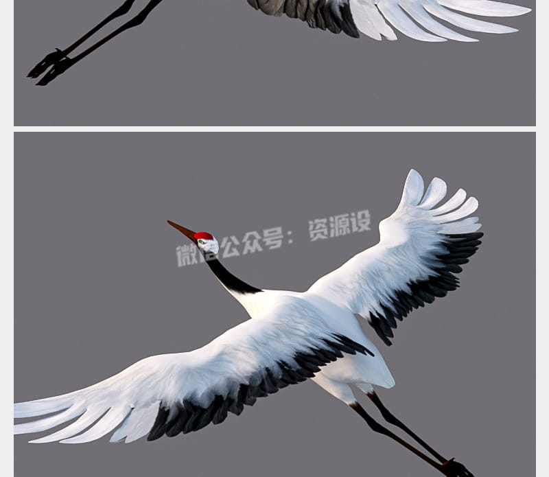 详情_002.jpg