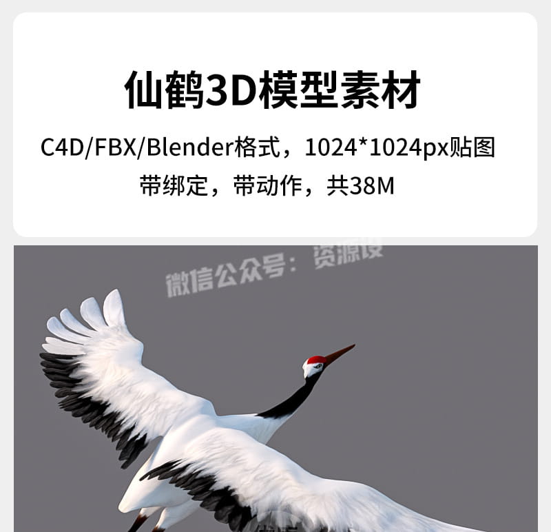 详情_001.jpg