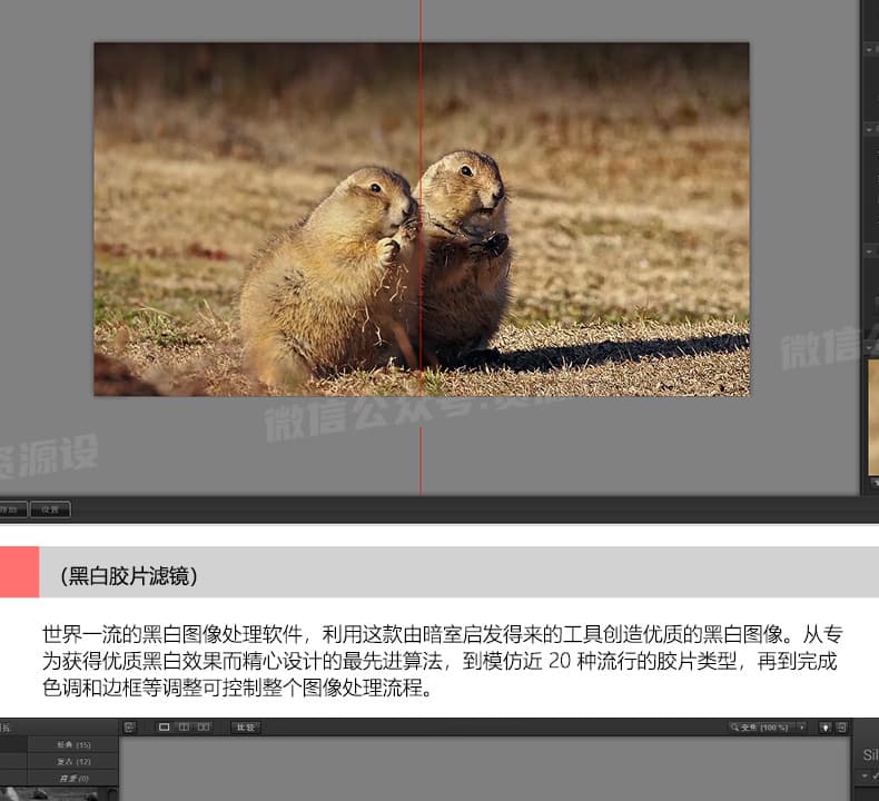 详情_007.jpg