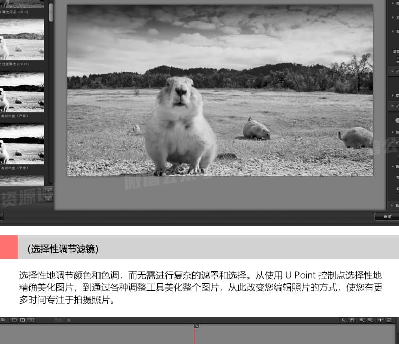 详情_008.jpg