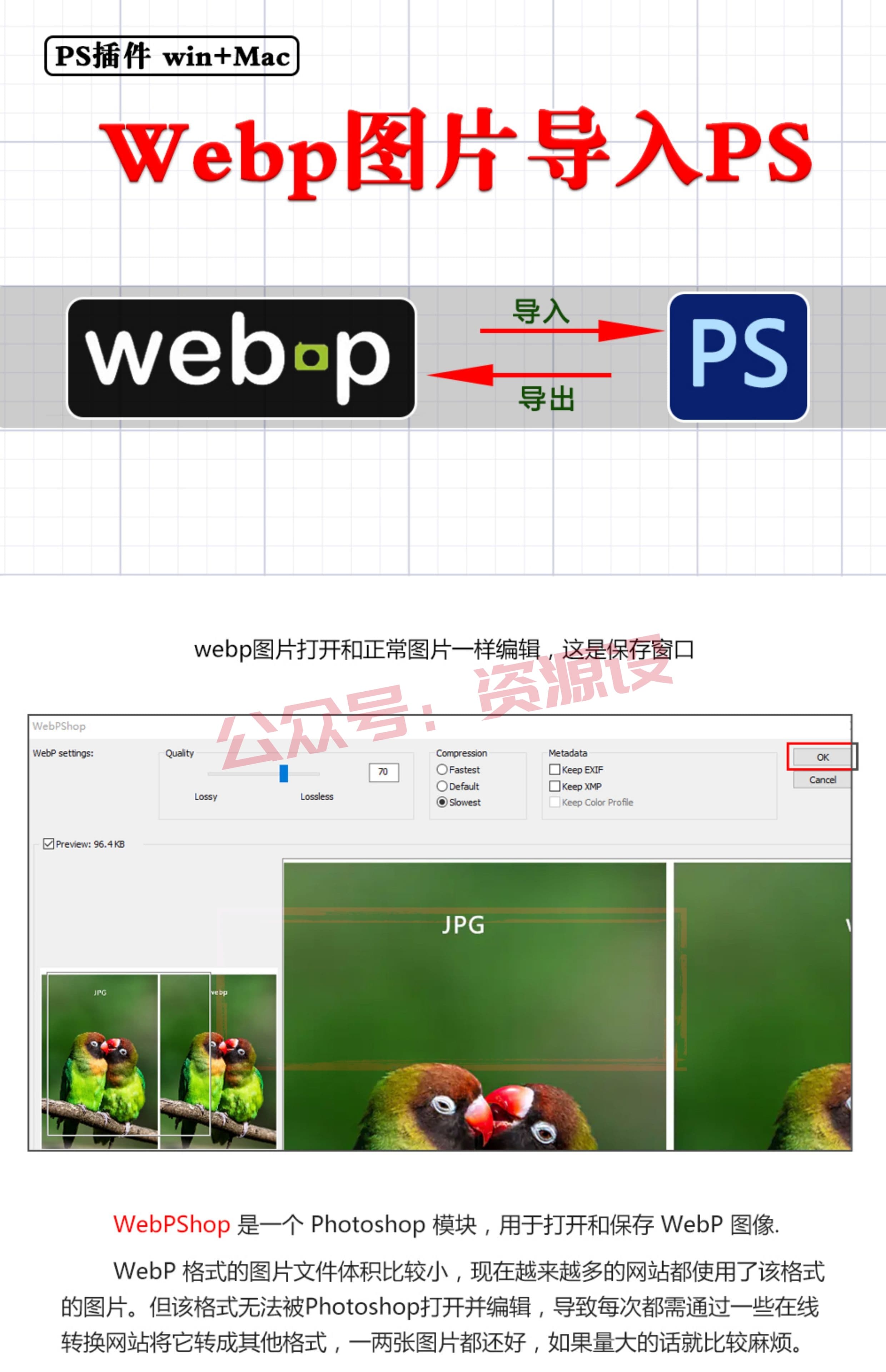 详情_001.jpg
