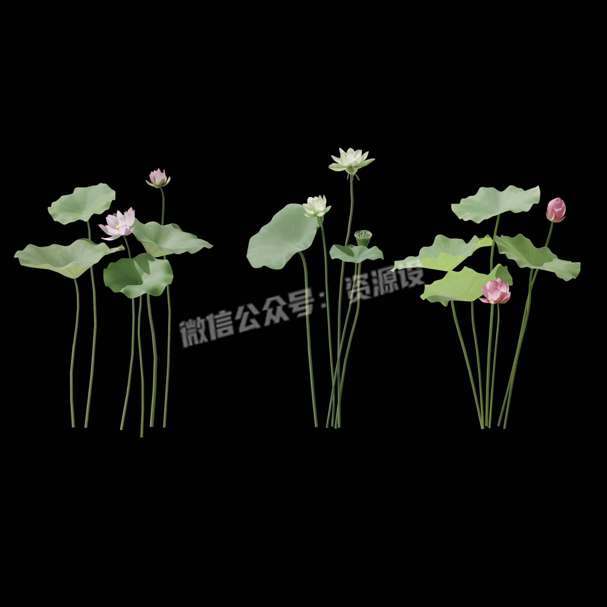 freecompress-详情_003.jpg