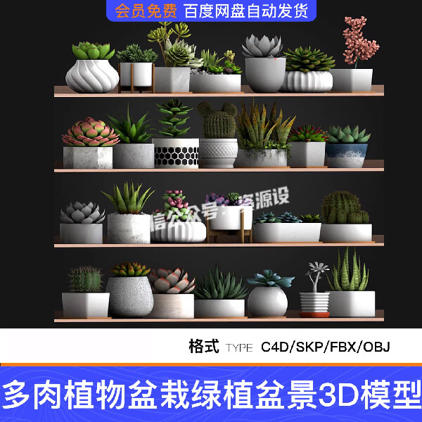 27款多肉植物盆栽室内装饰绿化观赏绿植物盆景SU模型C4D素材FBX【3577期】